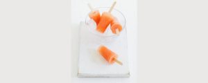 Pinemelon Ice Blocks